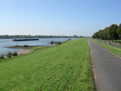 Rhein